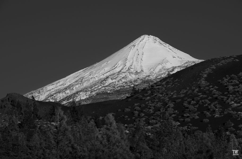 Im Nationalpark "del Teide". Die Nordseite war voller Schnee (B225)