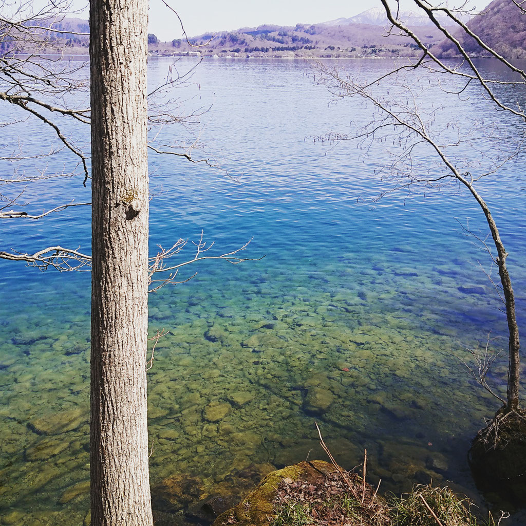 The transparency of Lake Towada is 10 meters. When you peer into the water from a boat, it feels like looking down from the height of a third floor.