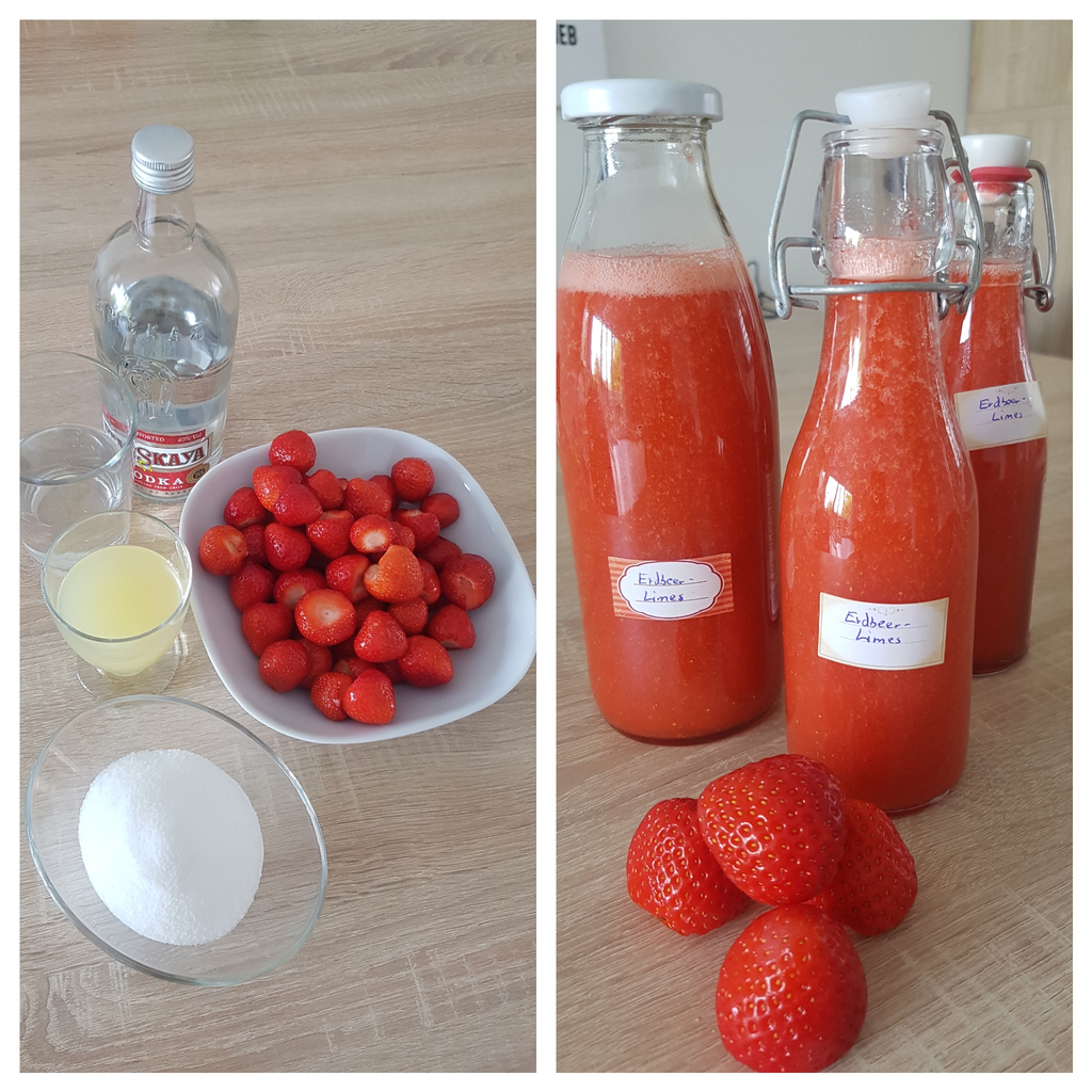 Erdbeerlimes - Tinas Küchenmaschinen Test &amp;quot;Aldimix&amp;quot;