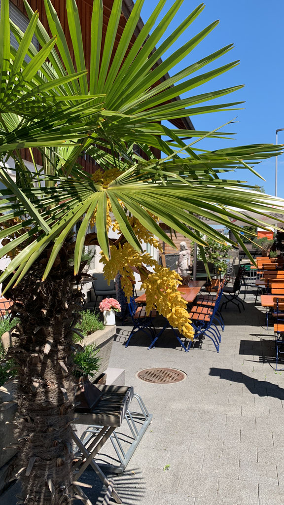 Terrasse vom rosmarino in Kerzers