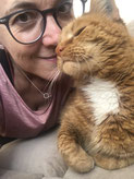 Katzensitter in Taunusstein, Katzensitting, Katzenbetreuung, Tierbetreuung