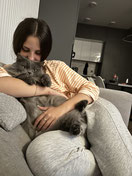Katzensitter in Nürnberg, Katzensitting, Katzenbetreuung, Tierbetreuung