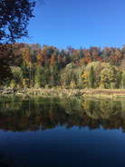Herbststimmung an der Isar - Foto: Heidrun Langer