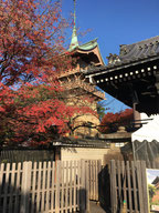 山鉾のような祇園閣（太雲院）