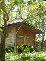 Bungalow du guanacaste