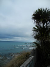 Kaikoura-Picton 155km