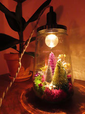 Kerst lampje maken