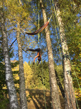 Teilnehmende beim Baumklettern im Herbstwald – Outdoor-Teamtraining mit SKT-Technik, Fokus auf Mut, Vertrauen und Selbstwirksamkeit.