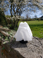 Tischlampe "Ghost"