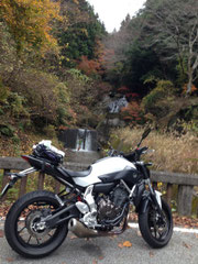 紅葉の中のMT-07