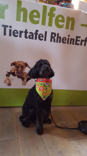 Heidi, Foto: Oetken