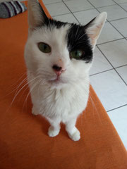 Emely, Foto vom Halter
