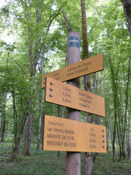 vener marcher en forêt sur les sentiers balisés, découvrir les circuits découverte, circuit de l'écureuil, circuit des lavoirs, sentier du fer, chemin de la mémoire