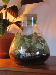 Workshop Ecosysteem