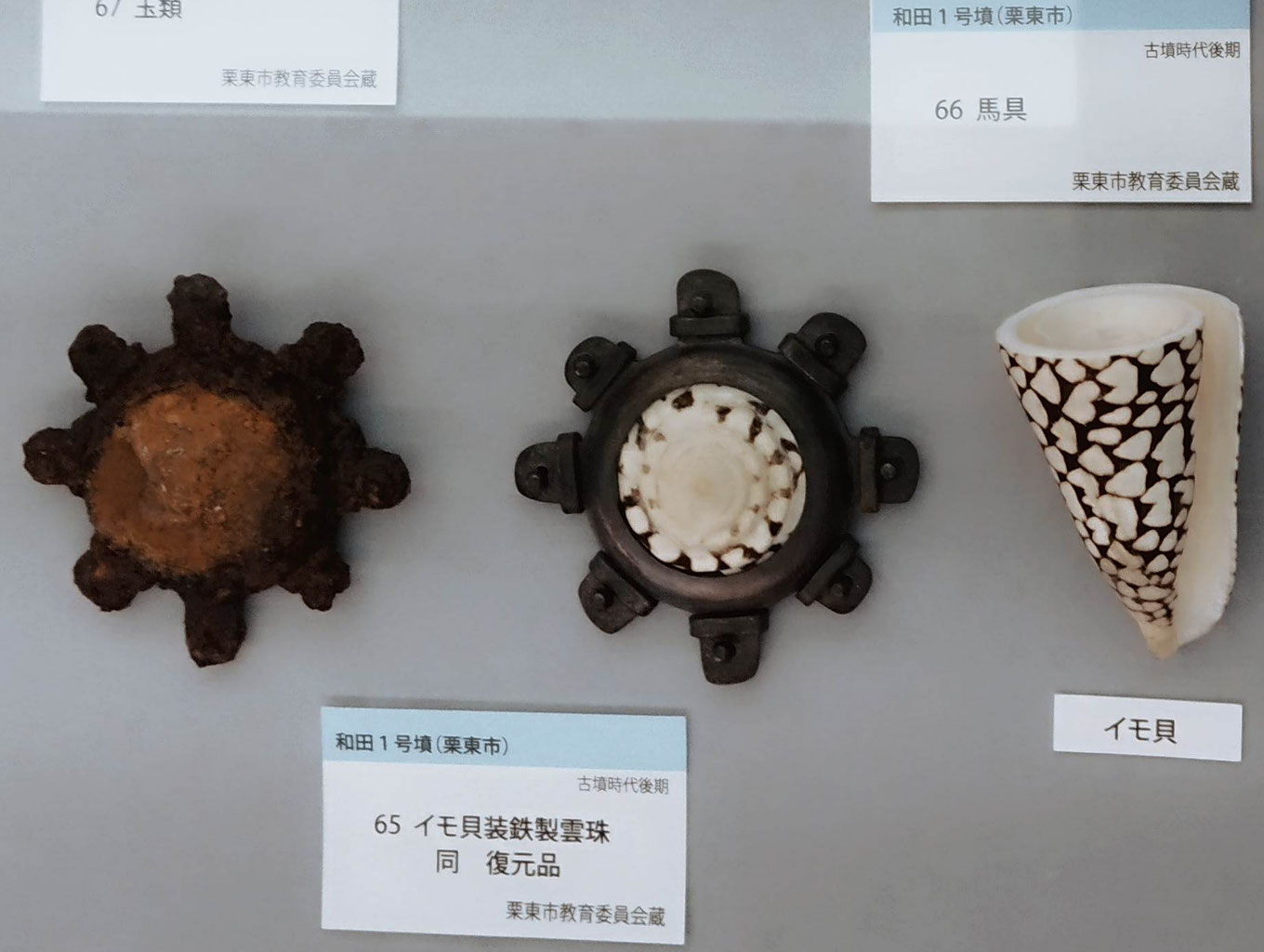 −南洋の貝に魅せられて− - 名古屋の古墳ガイド歴史の里マイスターの会