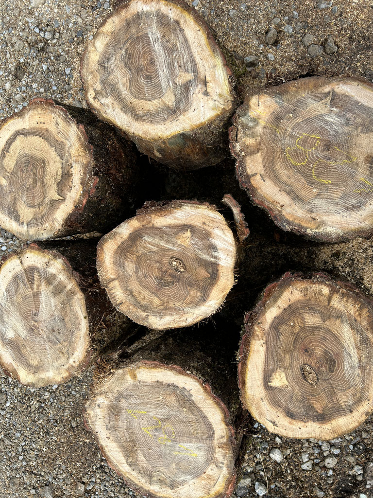 薪のことなら薪義 - 薪のことなら薪義！