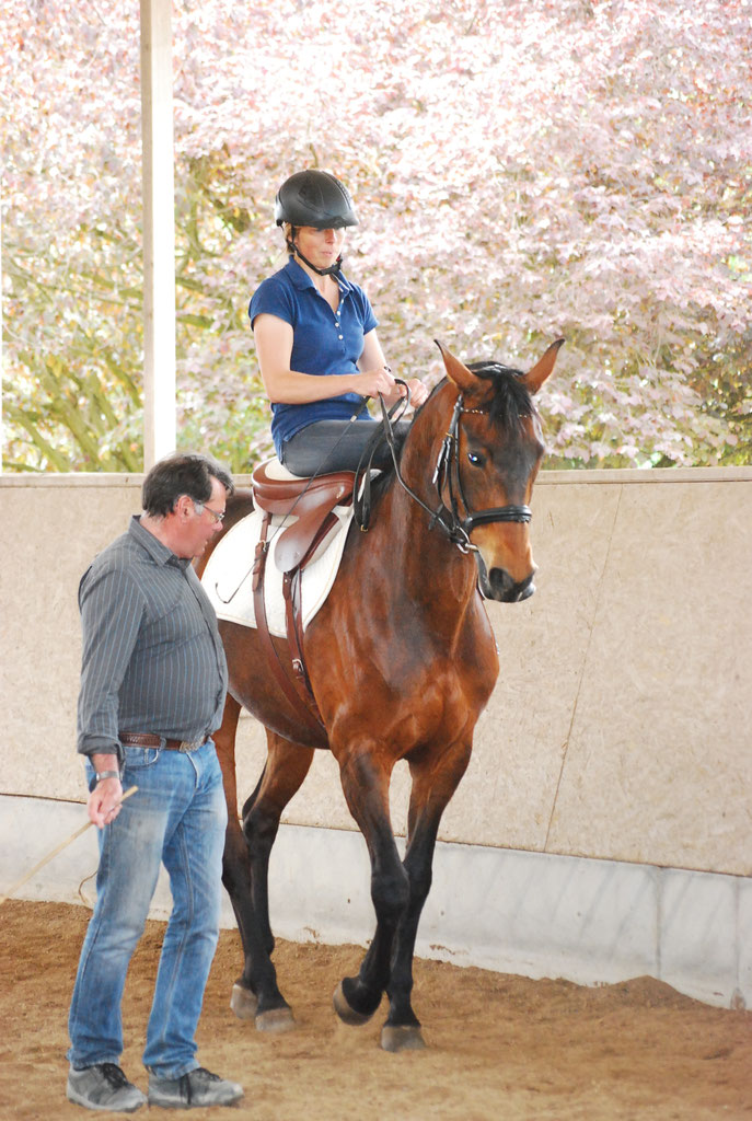 Klassisch Reiten mit - Linnenhof