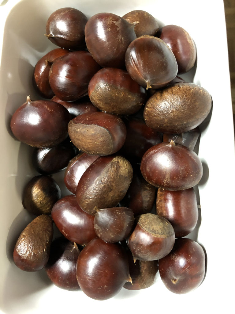 Tasty Gift 美味しい贈り物 Ohana英語イタリア語教室