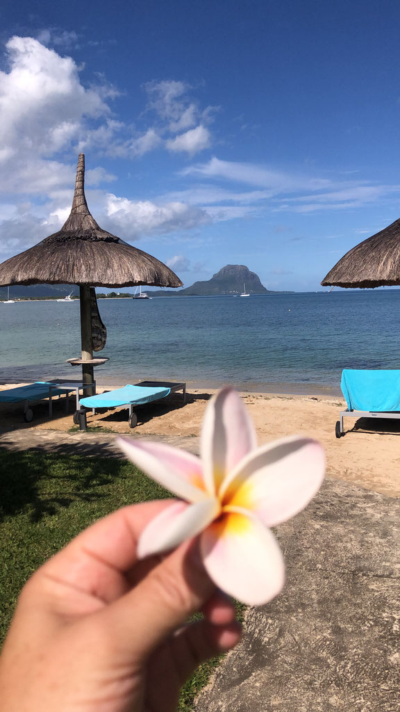 Prix De L Immobilier à L Ile Maurice Agence Immobiliere International Ile Maurice Jinvesty Pour Pds Res Et Irs Ihs Vente Et Achat Maisons Projet Villas De Luxe Et Appartements Vue Mer Investissement Retraite Resident Fiscal Jinvesty Ile Maurice