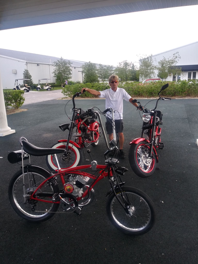 Schwinn stingray motorized bike hotsell