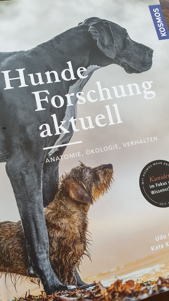 Buchbesprechung Aktive Pfoten Futterberatung Und Physiotherapie Fur Hund Und Katze