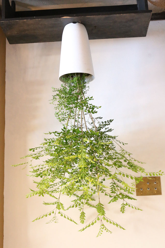 Lineでお問い合わせ 長野県岡谷市のオシャレな花屋 ｄａｎ ｆｌｏｗｅｒｓ ダンフラワーズ