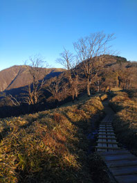 早朝の丹沢山への往復3時間。忘れがたい清々しさ。