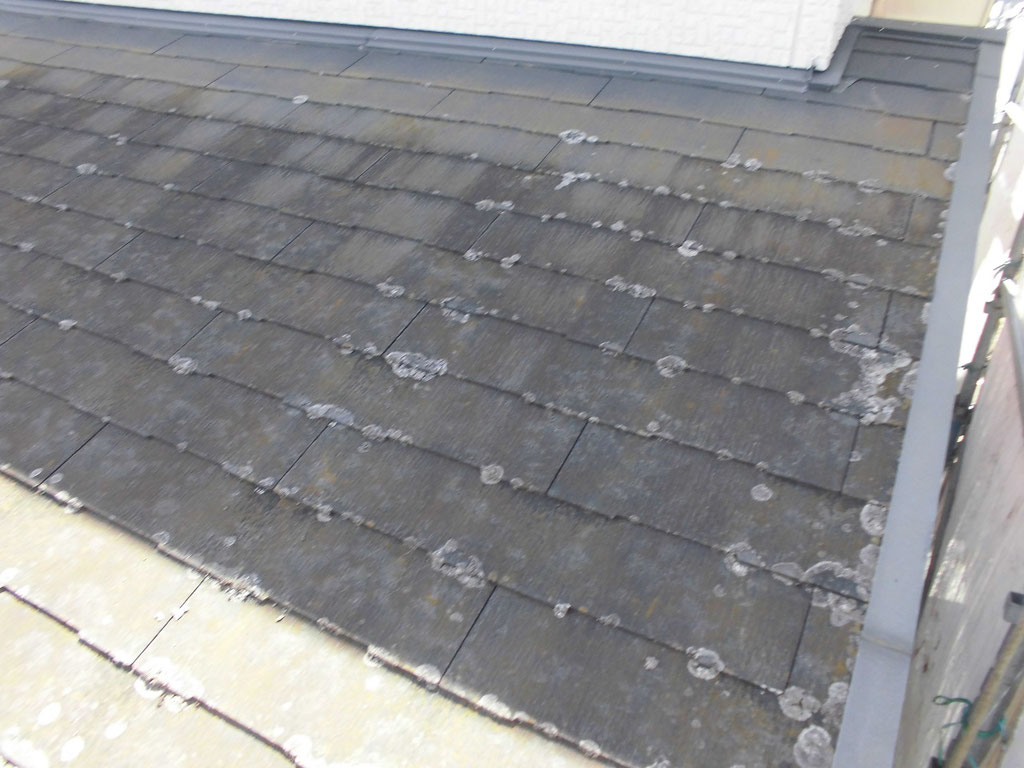 屋根/高圧洗浄前
