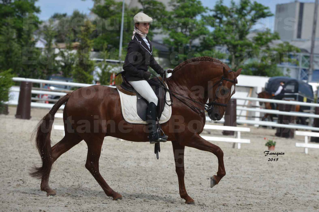 Salon Equitaine de Bordeaux 2015 - Concours Equitation de travail - Épreuves de Dressage - 