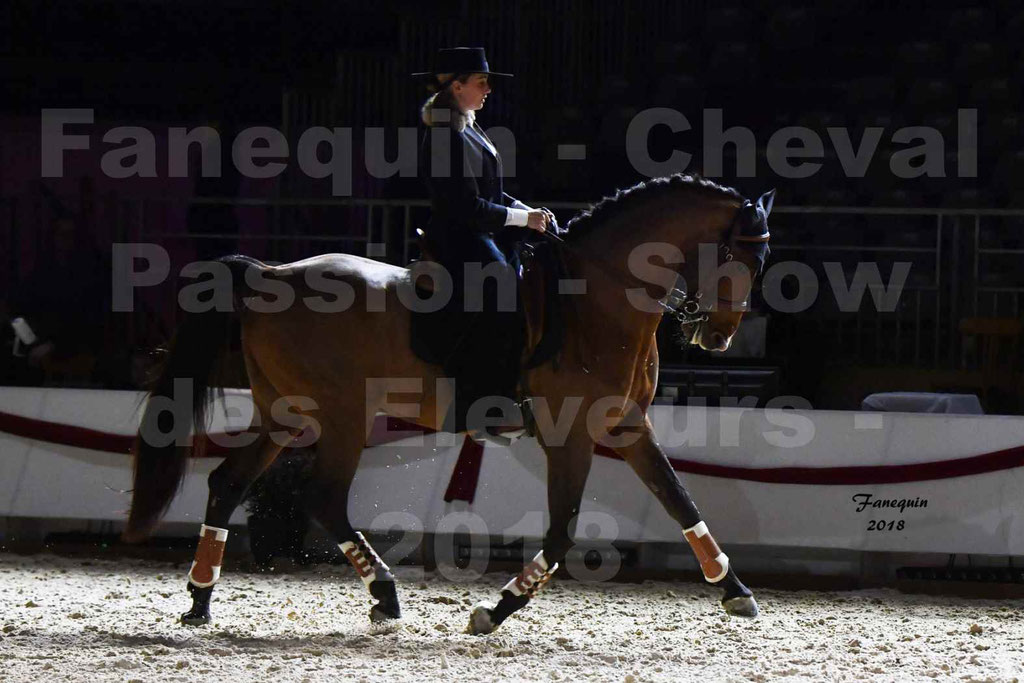 Cheval passion 2018 - Show des éleveurs - Chevaux LUSITANIEN - Institut Français des Arts Équestres - Notre Sélection - 46