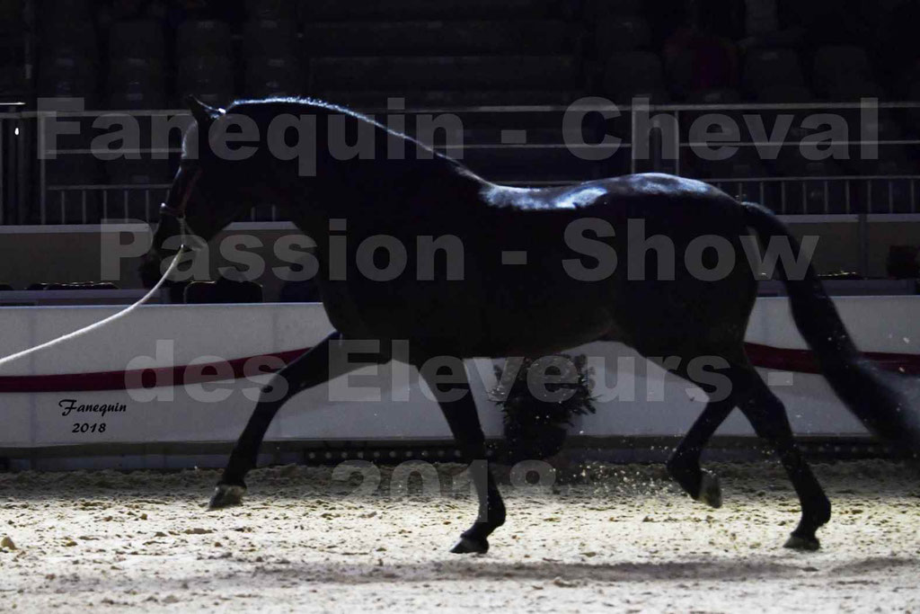 Cheval passion 2018 - Show des éleveurs - Chevaux ESPAGNOL - Notre Sélection - 14