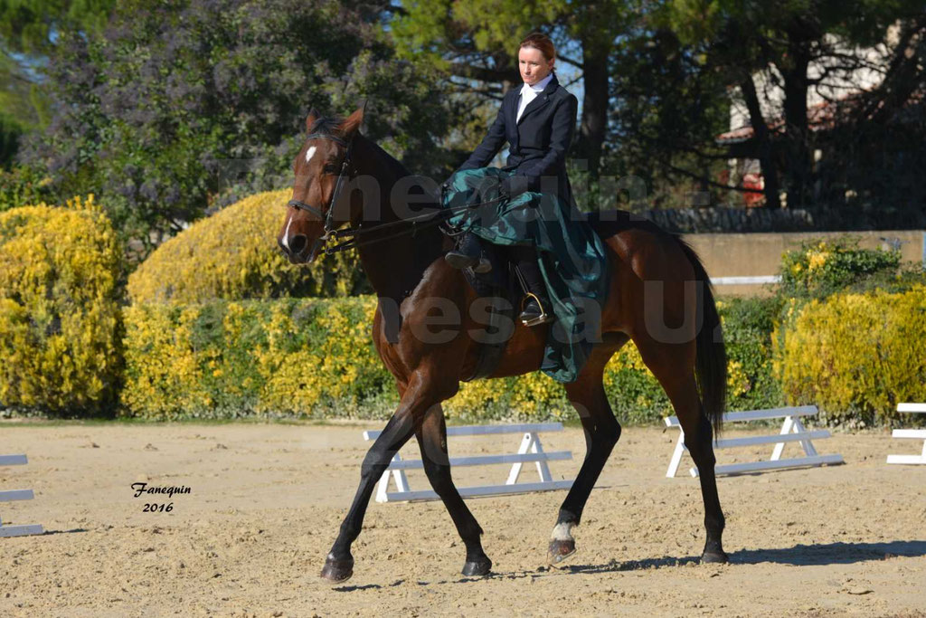 rencontres Amazones au Haras d'UZES 2016 - Chrystel PAPAI