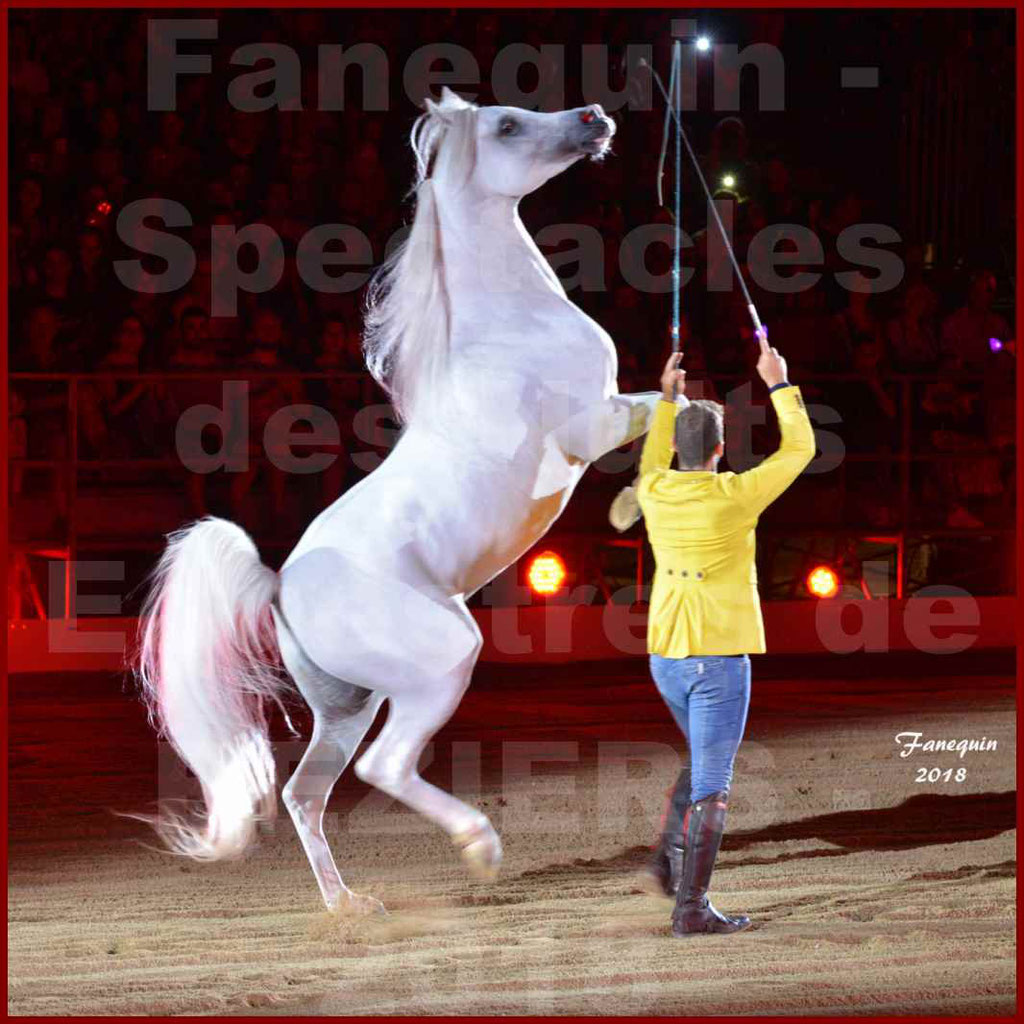 Spectacle Nocturne des "Nuits Equestres" lors de la Féria de BEZIERS 2018 - 5