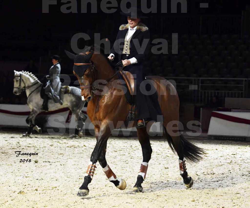 Cheval passion 2018 - Show des éleveurs - Chevaux LUSITANIEN - Institut Français des Arts Équestres - Notre Sélection - 41