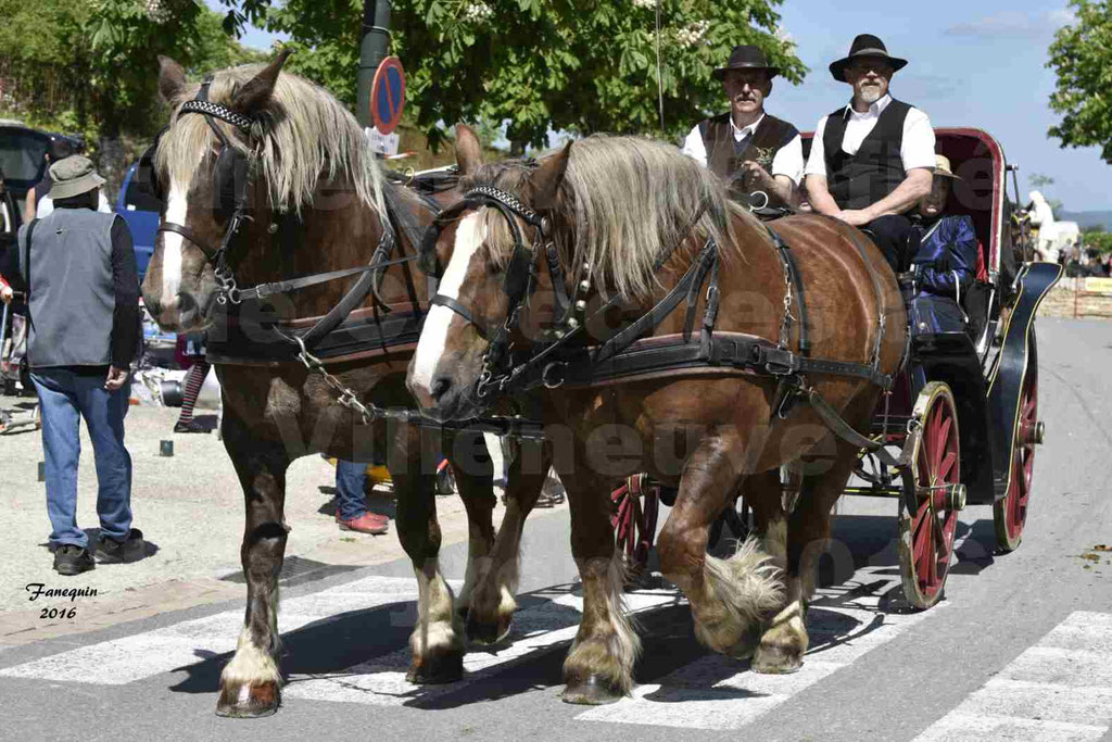 Défilé d'attelage à Villeneuve d'Aveyron le 15 Mai 2016 - Paire cheval lourd - 14