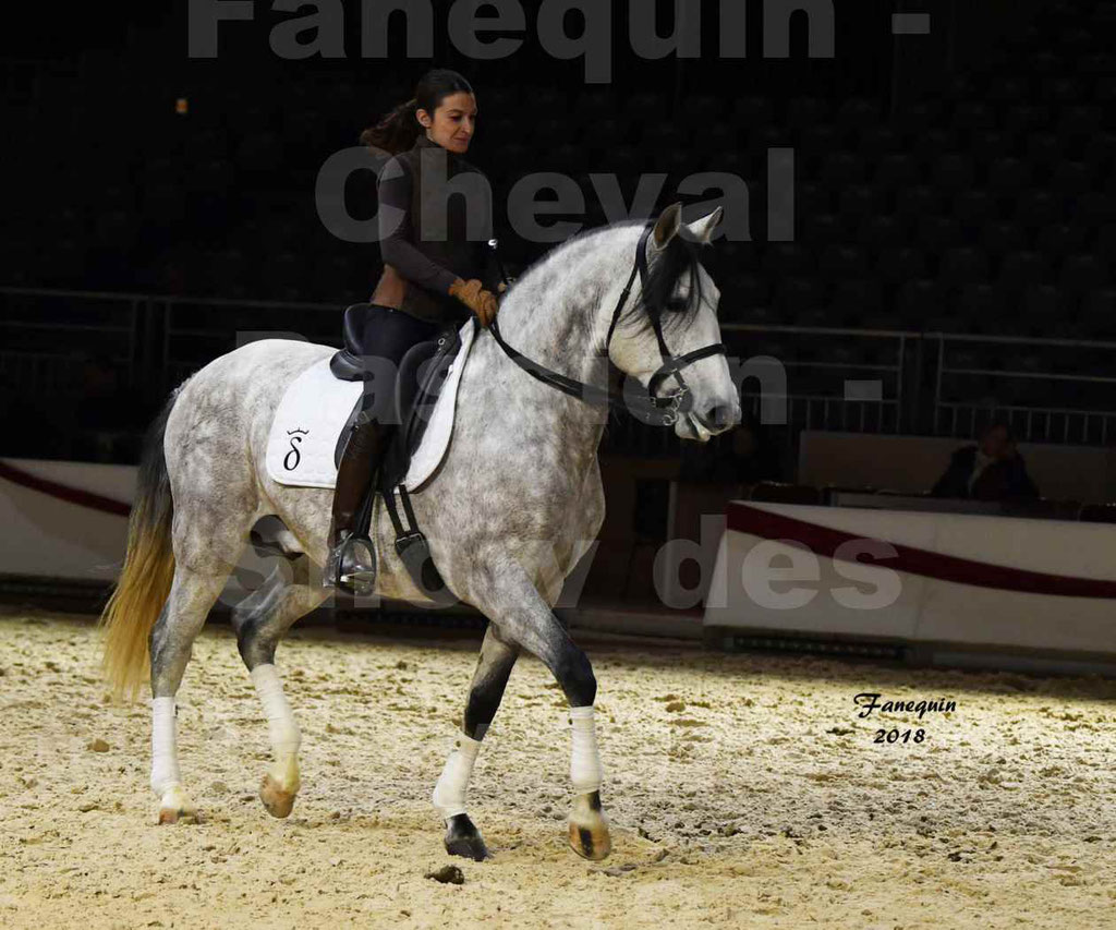 Cheval passion 2018 - Show des éleveurs - Chevaux LUSITANIEN - Institut Français des Arts Équestres - Notre Sélection - 03