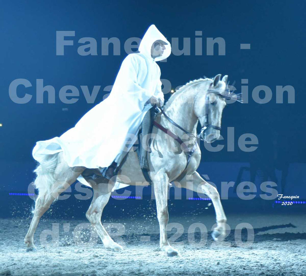 Cheval Passion 2020 - Les Crinières d'OR - RAPHAËL ARCOS - 12