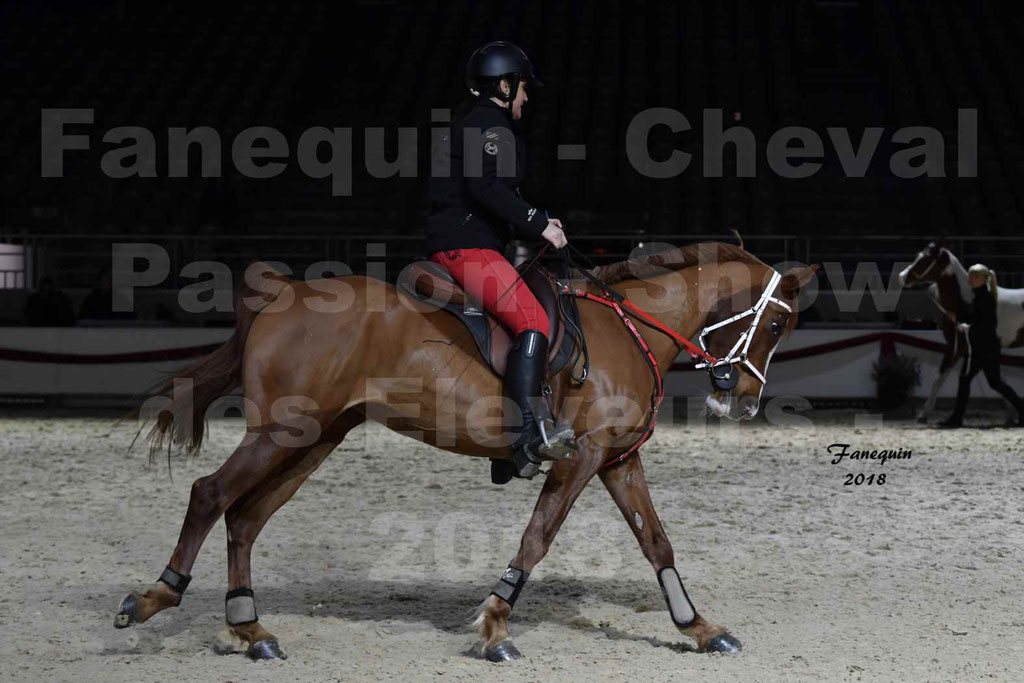 Cheval passion 2018 - Show des éleveurs - Chevaux ARABES - Notre Sélection - 42