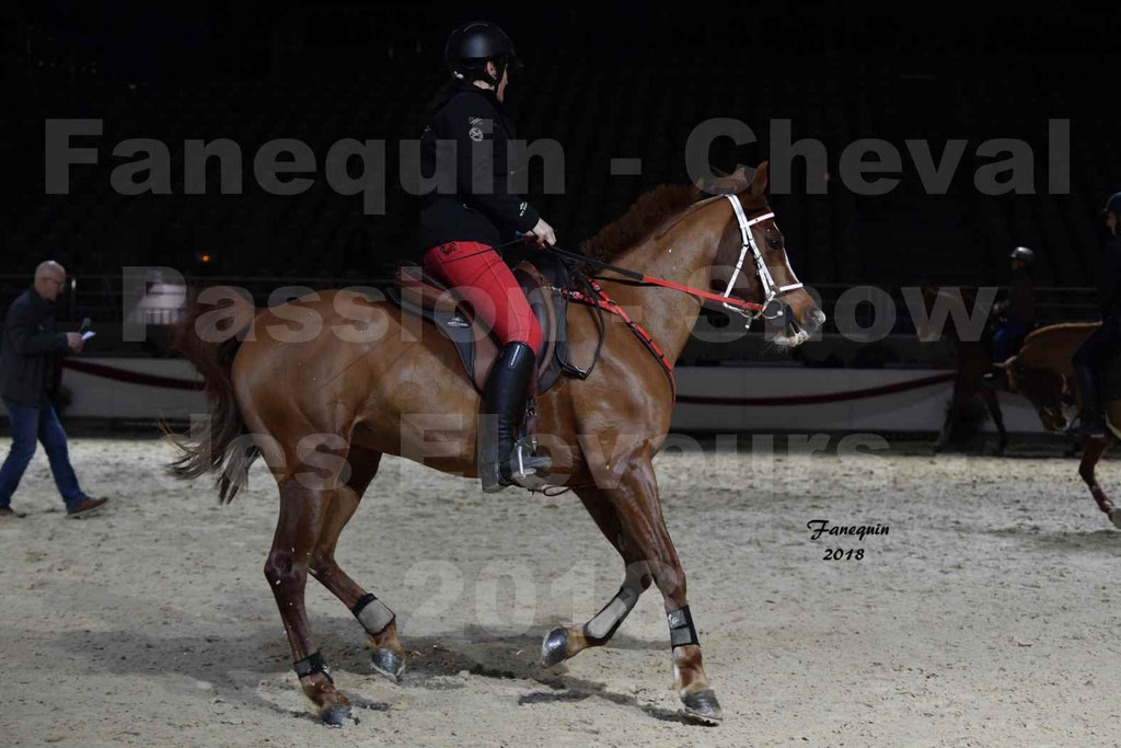 Cheval passion 2018 - Show des éleveurs - Chevaux ARABES - Notre Sélection - 43