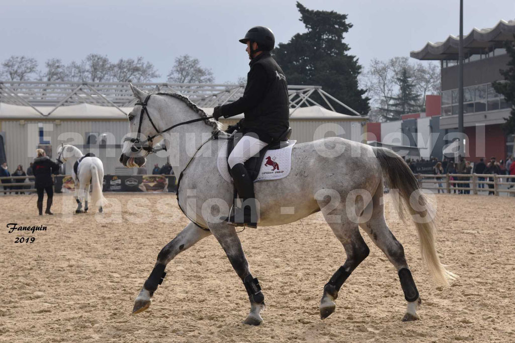 Cheval Passion 2019 - Chevaux LIPIZZAN dehors montés - 22