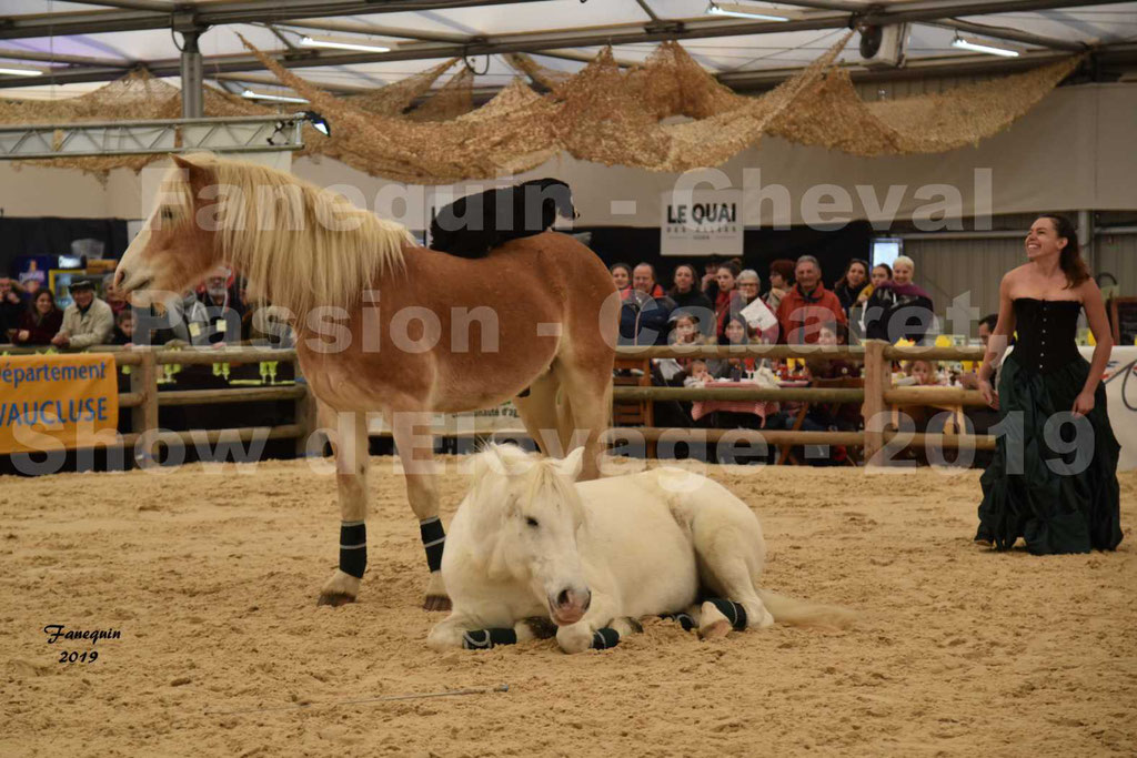 Cheval Passion 2019 - Cabaret Équestre - LES EQUIFOLIZ