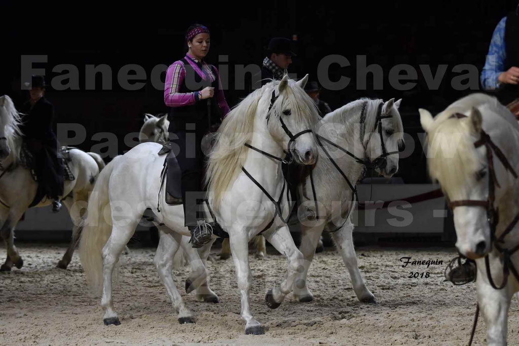 Cheval passion 2018 - Show des éleveurs - Chevaux CAMARGUE - Notre Sélection - 47