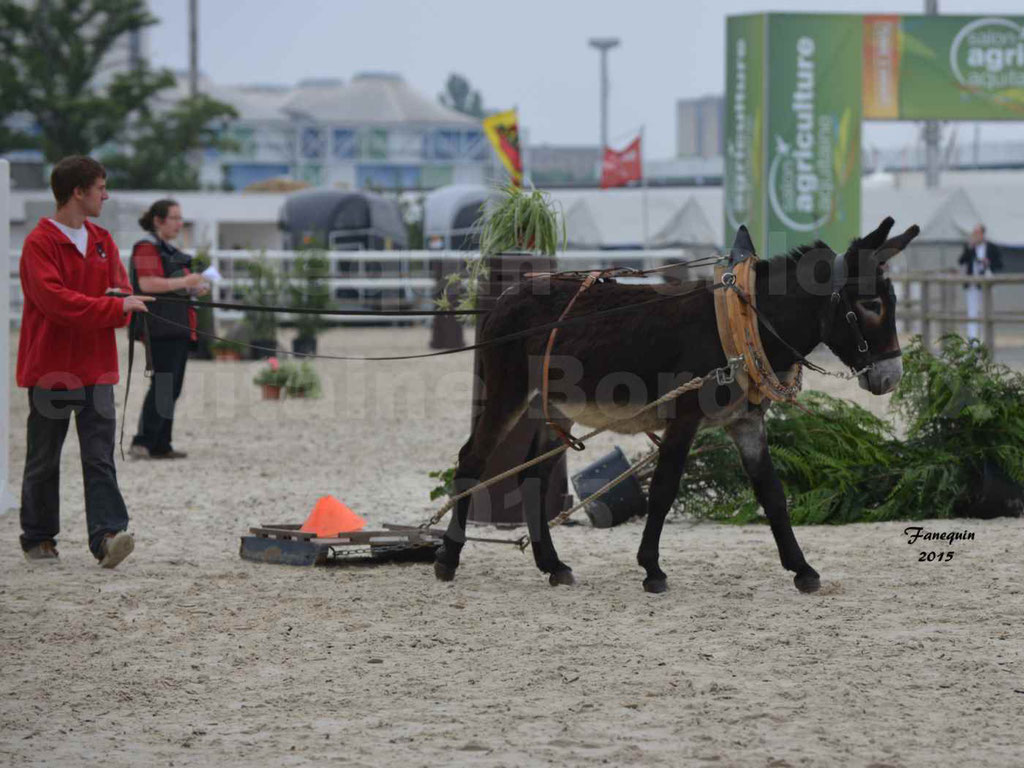 Salon Equitaine de Bordeaux 2015 - Démonstration d'âne attelé - 1