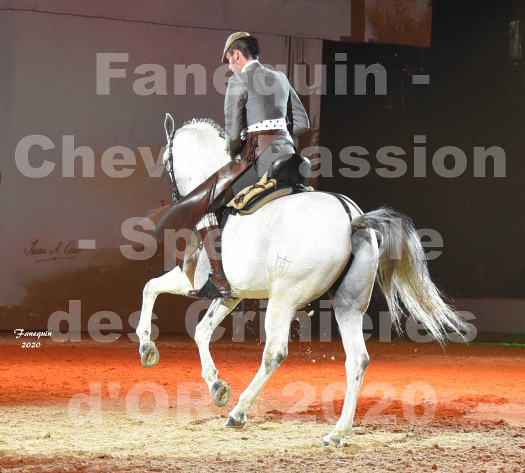 Cheval Passion 2020 - Les Crinières d'OR - RAPHAËL ARCOS - 53