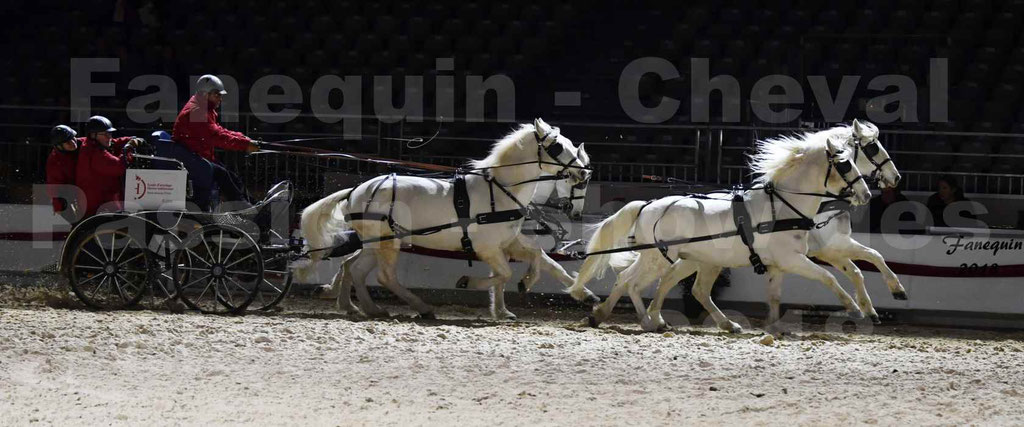 Cheval passion 2018 - Show des éleveurs - Chevaux CAMARGUE - "attelage Team" - Notre Sélection - 7