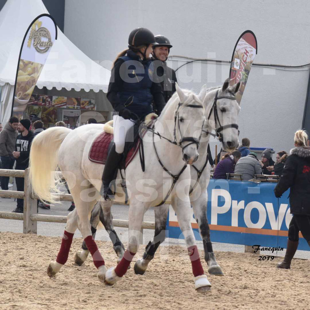 Cheval Passion 2019 - Chevaux LIPIZZAN - Montés dehors