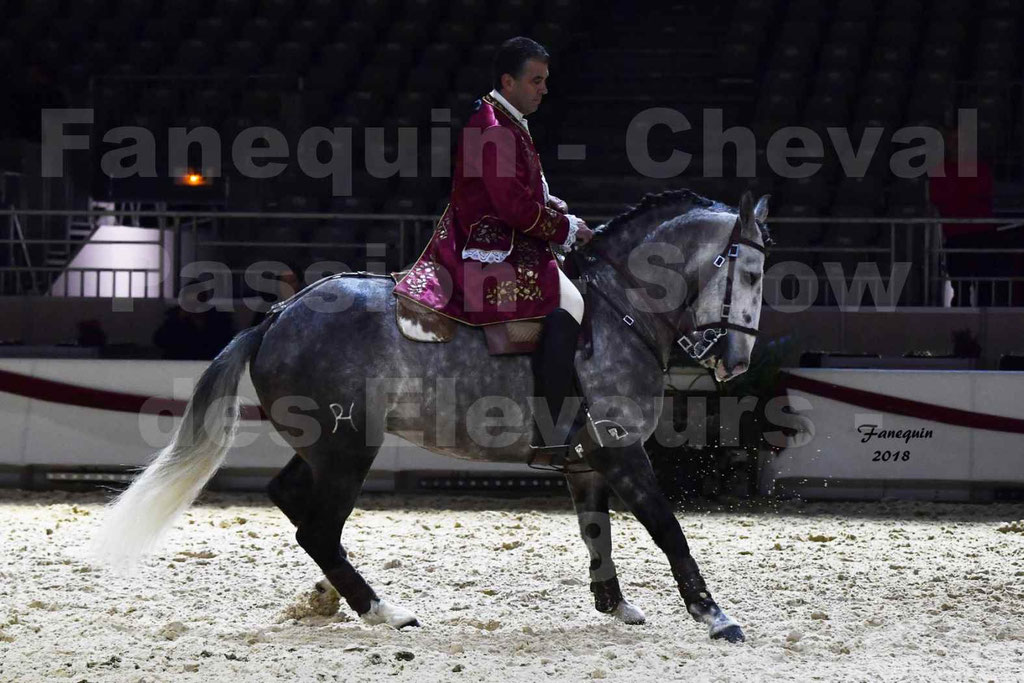 Cheval passion 2018 - Show des éleveurs - Chevaux LUSITANIEN - Tony MARTINS - Notre Sélection - 11