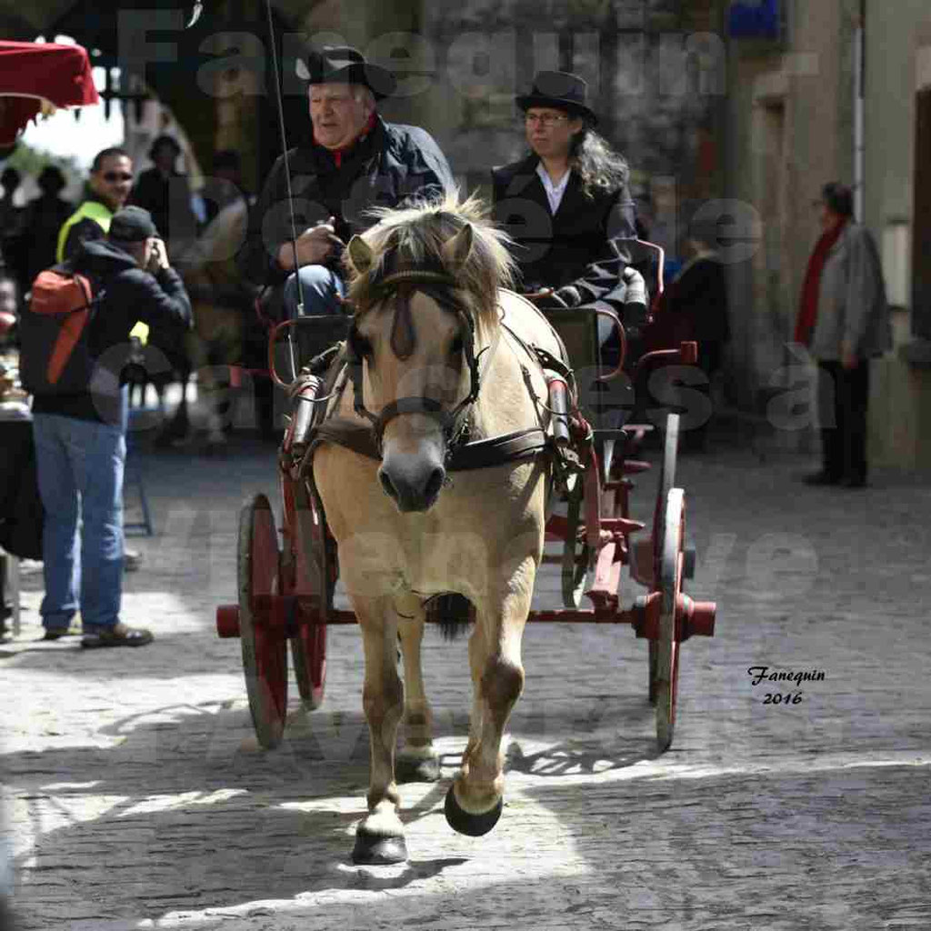 Défilé d'attelage à Villeneuve d'Aveyron le 15 Mai 2016 - Simple Poney - 06