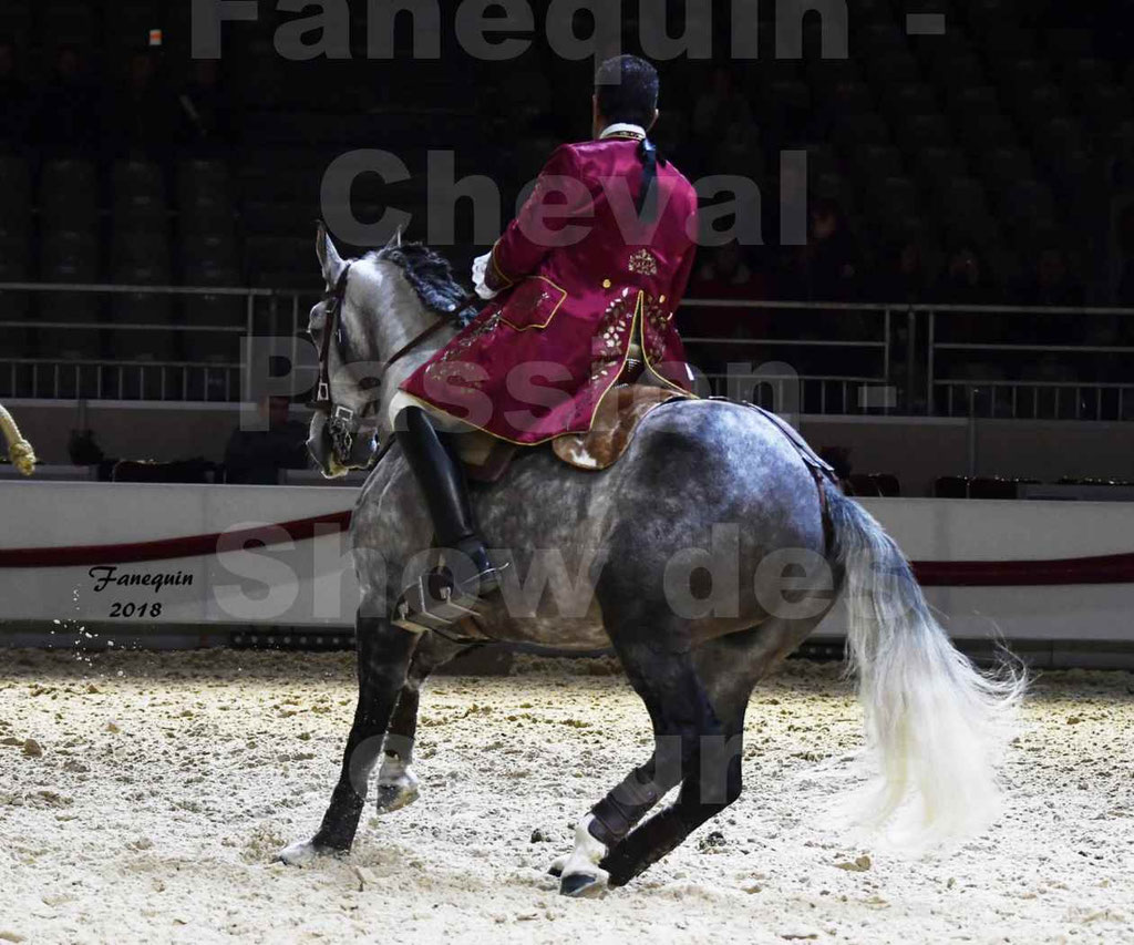Cheval passion 2018 - Show des éleveurs - Chevaux LUSITANIEN - Tony MARTINS - Notre Sélection - 28