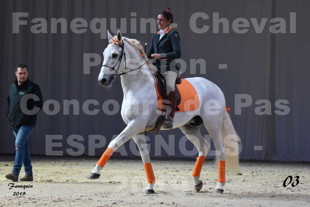 Cheval Passion 2019 - Concours de Pas Espagnol - Étalon "ZIDANE" - 